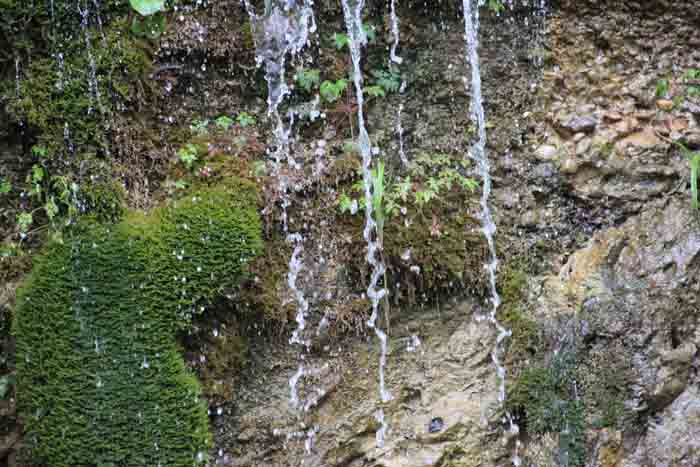 Mythenwanderung "Wasser des Lebens"